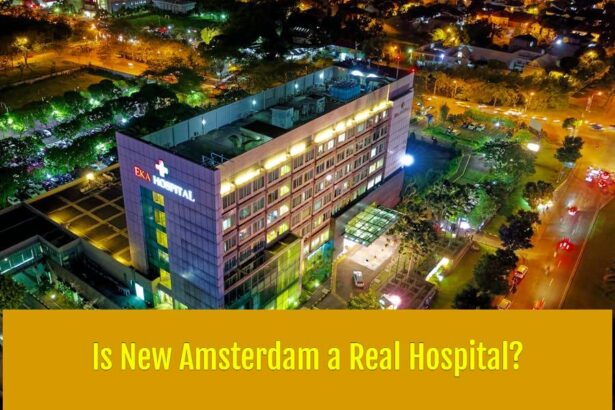 Is New Amsterdam a Real Hospital
