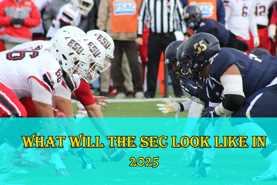 What Will the SEC Look Like in 2025 Future Insights Greater Collinwood