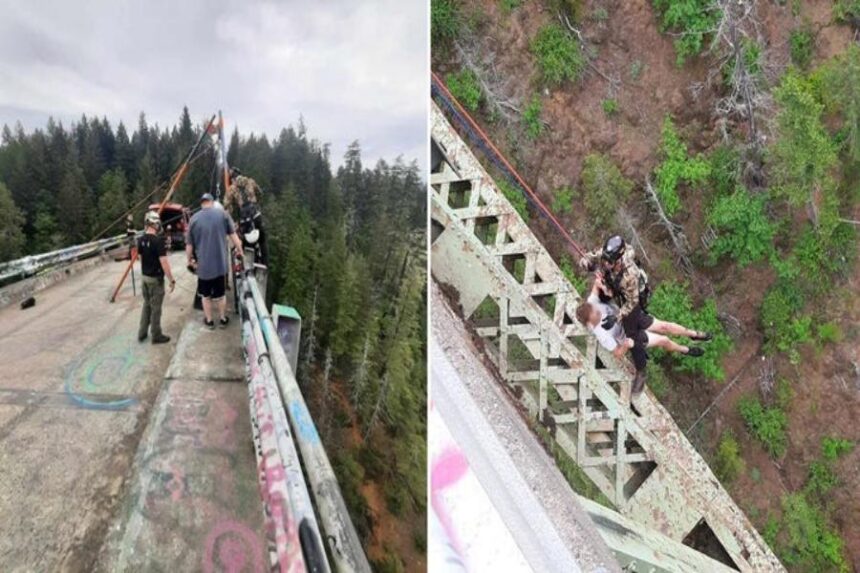 Narrow Escape: Teen Survives 400-Foot Fall from Washington's High Steel Bridge