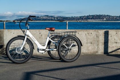 A Comprehensive Guide to Choosing the Best Electric Tricycle for Adults