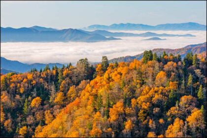 First-Time Traveler's Guide to the Smoky Mountains