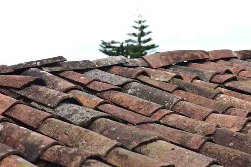 Selecting the Right Professionals for a Lasting Roof