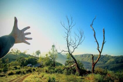 Unleashing the Power of Nature