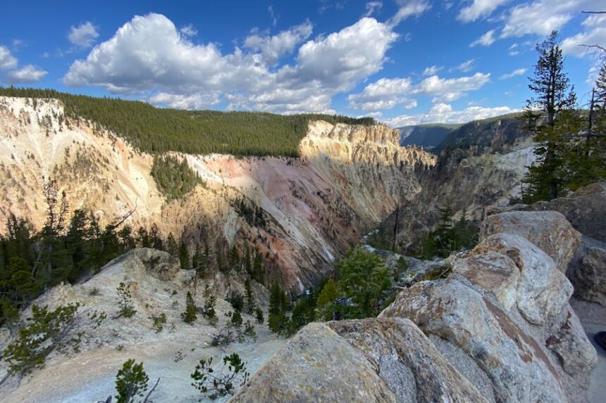State Parks vs National Parks