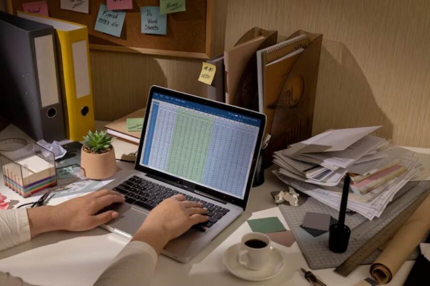 Traditional Accountant or Accounting Software