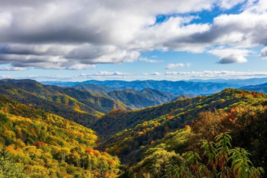 How to Plan a Relaxing Nature Getaway
