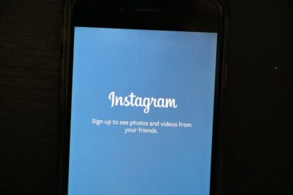 Imginn Instagram