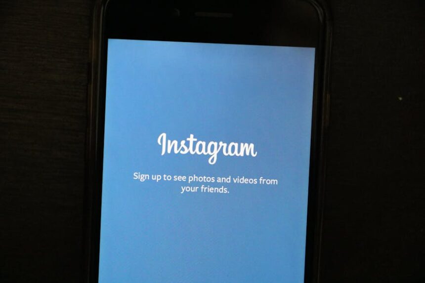 Imginn Instagram