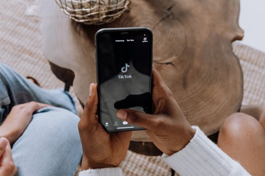 TikTok Story Viewer