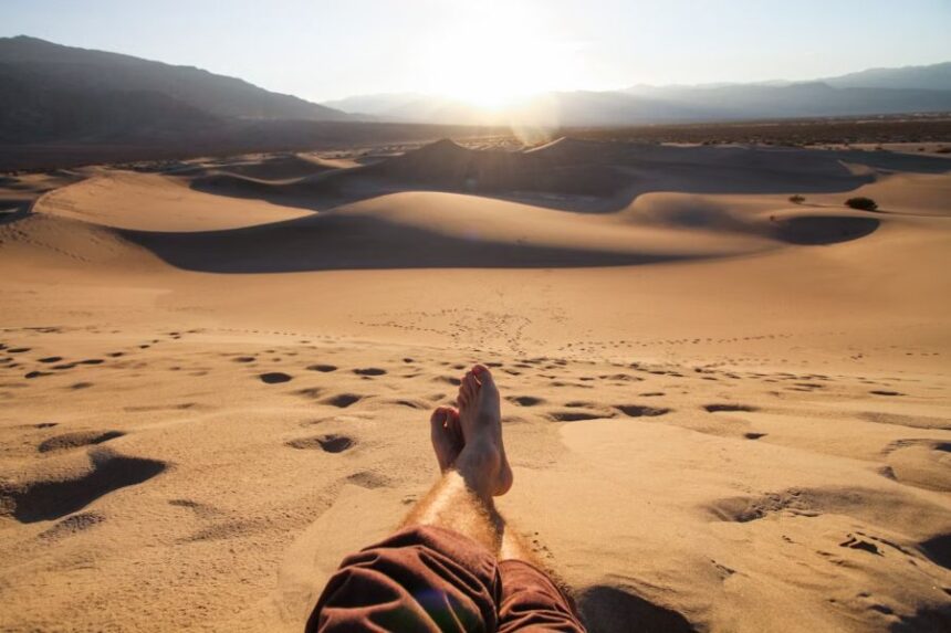 Family Vacation in the Desert - Is It for You?