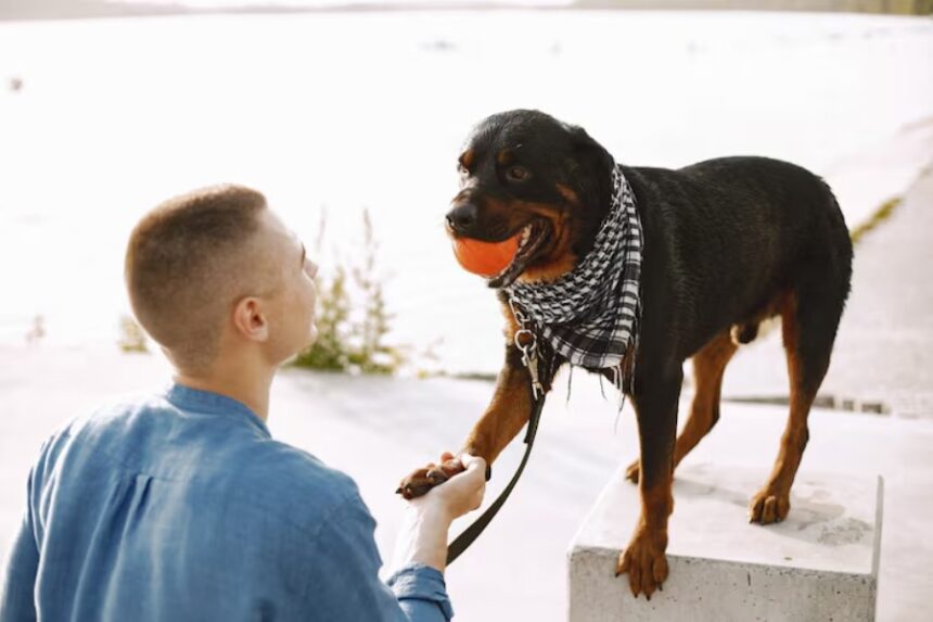 How to Prove Liability in a Dog Bite Case