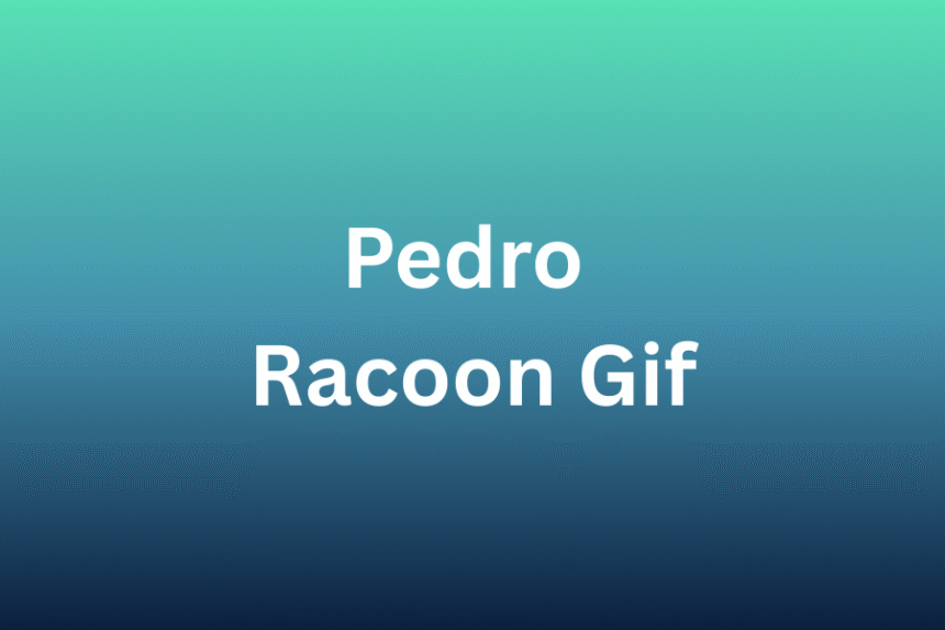 pedro racoon gif